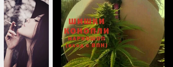 крисы Богородицк