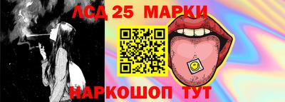 шишки Заводоуковск