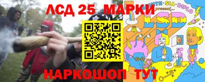 шишки Заводоуковск