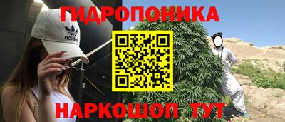шишки Заводоуковск