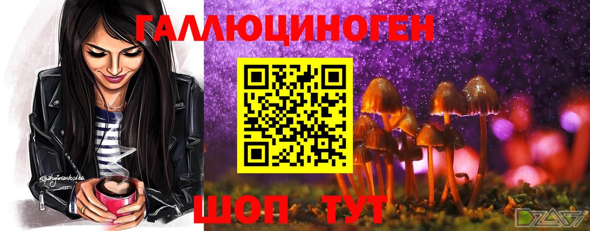 Галлюциногенные грибы Magic Shrooms  Псилоцибиновые грибы мухоморы  Североморск 